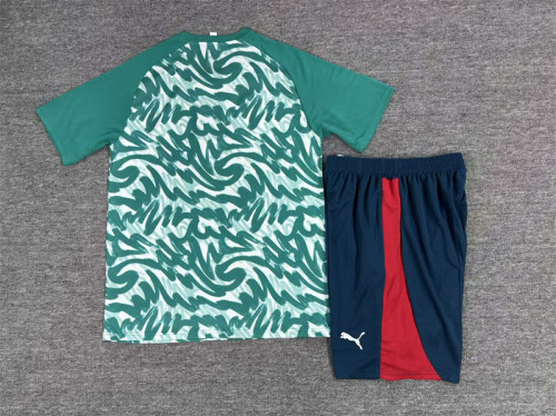 26/27 Portugal short -sleeved training suit green