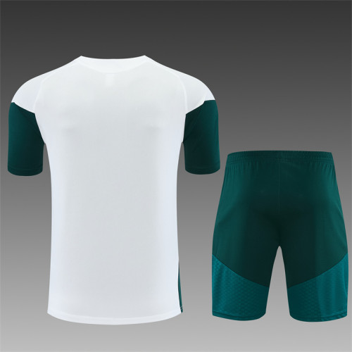 26/27 Real Madrid Short sleeve Adult training suit white