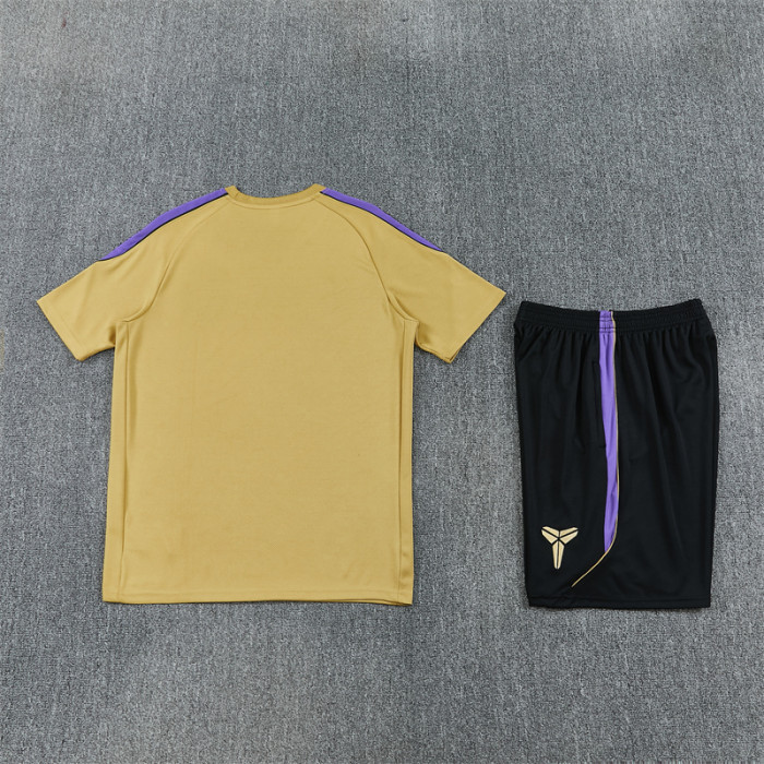 26/27 Barcelona Short sleeve Adult training suit golden