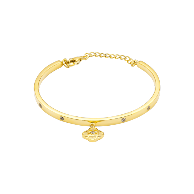 Cartier Money Circle bracelet