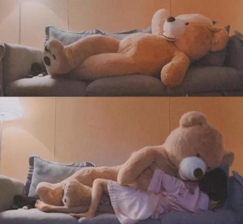 a Big Size Teddy Bear