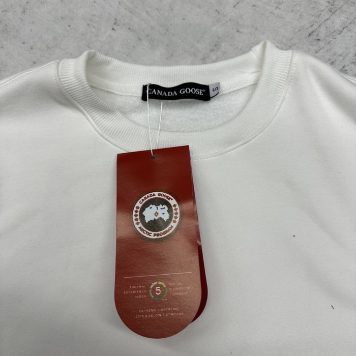 Men Women Crew Neck Sweatshirt Cotton Fleece Pullover Long Sleeves Sports Shirt Tops Casual Streetwear Unisex