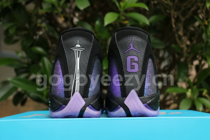 Authentic Air Jordan 14“Doernbecher”