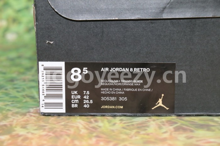 Authentic Air Jordan 8 “Take Flight”