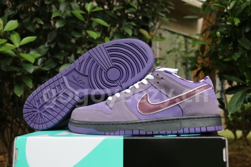 Authentic Nike Dunk SB Concepts Purple Lobster  Women Shoes