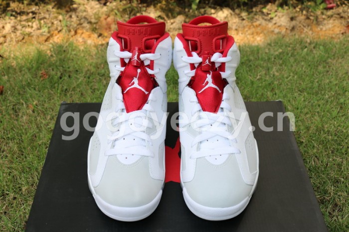 Authentic Air Jordan 6 Alternate
