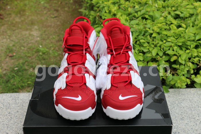 Authentic Supreme x Nike Air More Uptempo Red