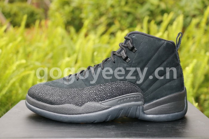 Authentic Air Jordan 12 OVO Black