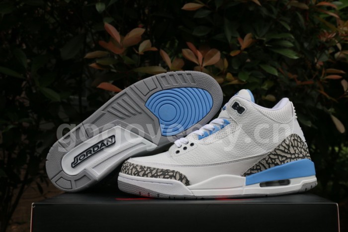 Authentic Air Jordan 3 UNC PE