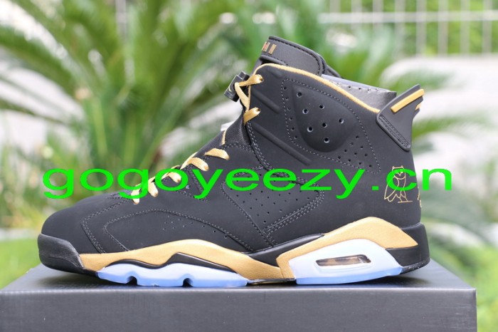 Authentic Air Jordan 6 OVO