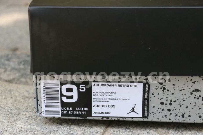 Authentic Air Jordan 4 NRG Raptors