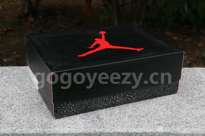 Authentic Air Jordan 3 UNC PE