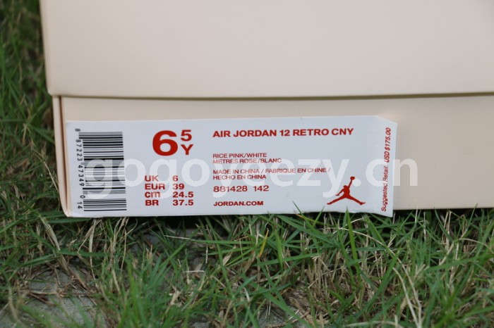 Authentic Air Jordan 12 CNY GS