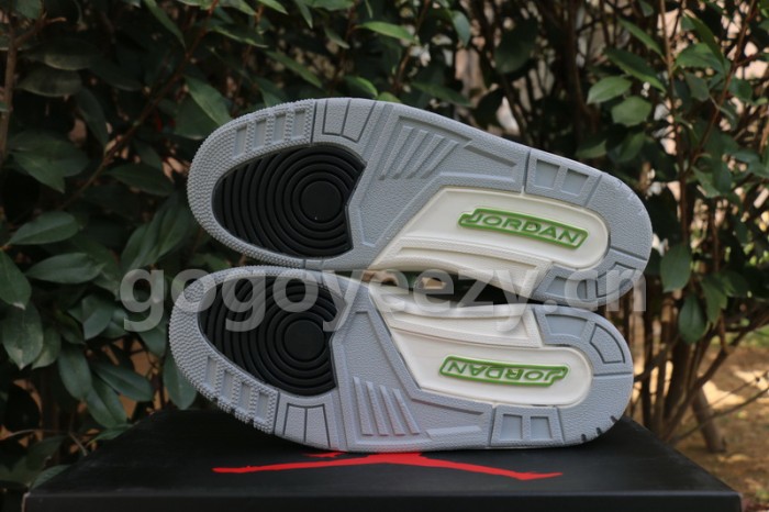 Authentic Air Jordan 3“Chlorophyll”