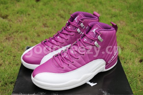 Authenitc Air Jordan 12 Kevin Martin