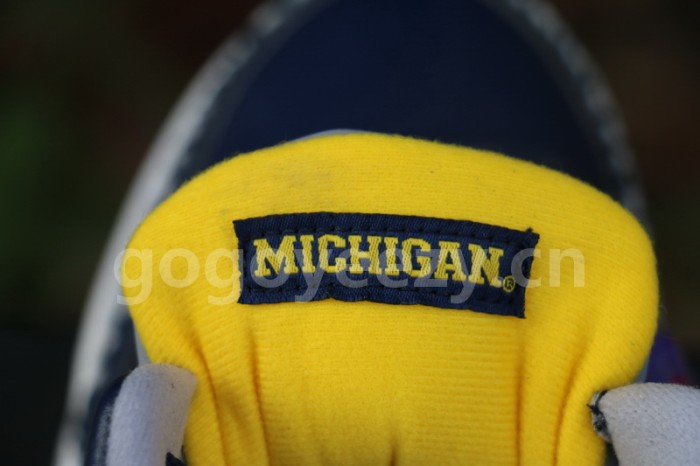 Authentic Air Jordan 3 Michigan