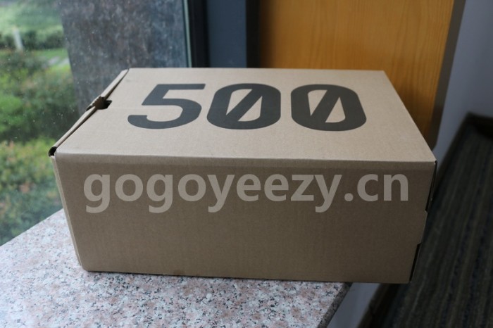 Authentic AD Yeezy 500 “Salt”