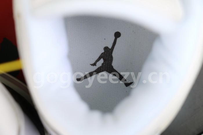 Authentic Air Jordan 3 “Mocha”
