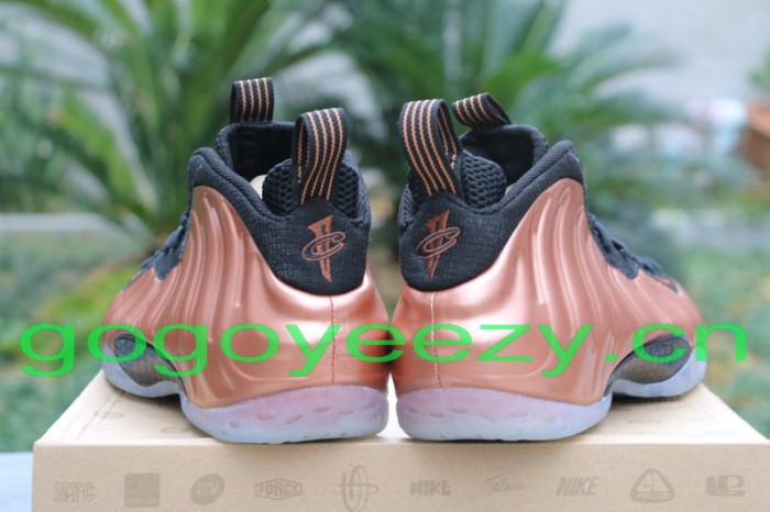 Nike Air Foamposite One “Dirty Copper” 2009