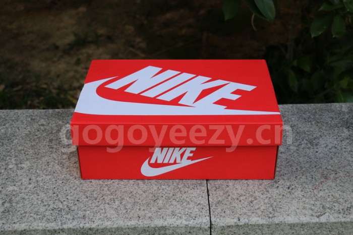 Authentic Nike Dunk High “Michigan”