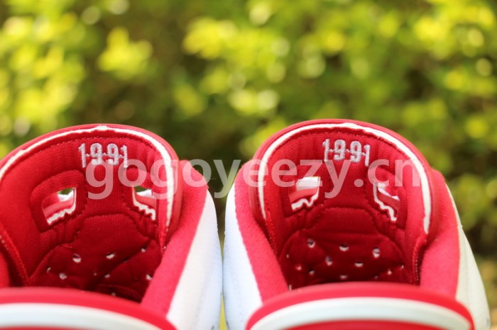 Authentic Air Jordan 6 Alternate