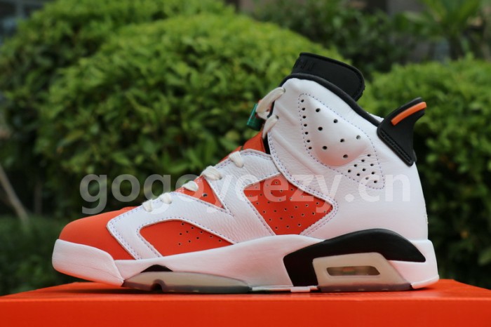 Authentic Air Jordan 6 “Gatorade”