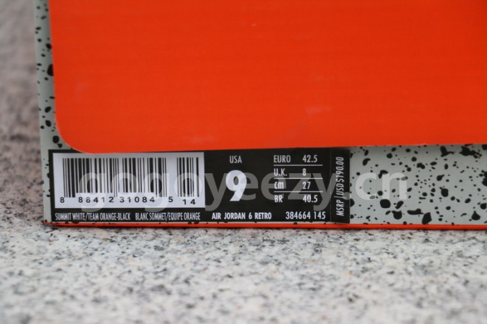 Authentic Air Jordan 6 “Gatorade”