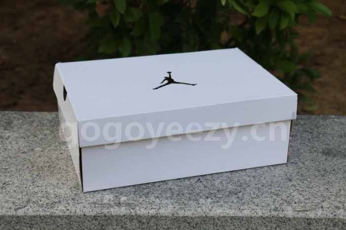 Authentic Air Jordan 12