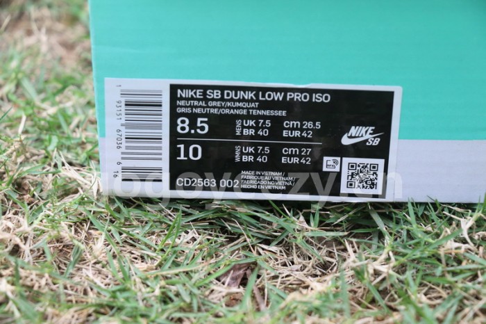 Authentic Nike SB Dunk Low “Safari”