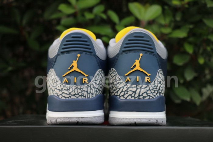 Authentic Air Jordan 3 Michigan