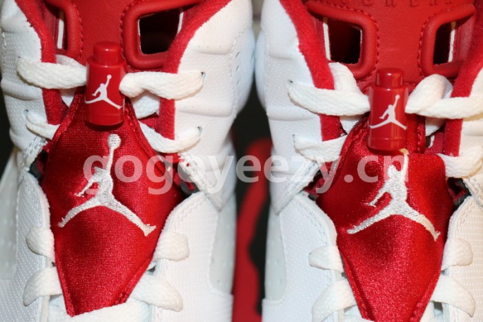 Authentic Air Jordan 6 Alternate