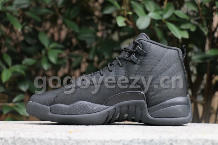 Authentic Air Jordan 12 WNTR