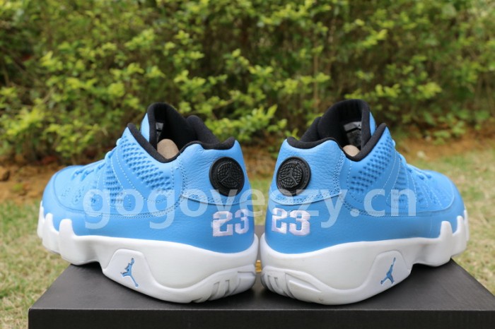 Authentic Air Jordan 9 Low Pantone