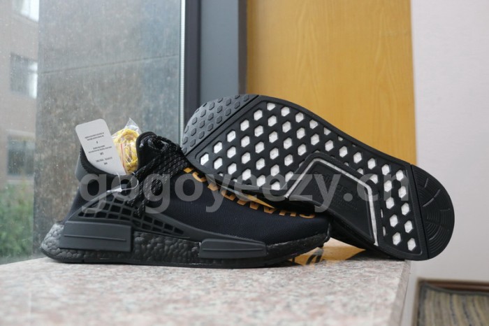 Authentic Pharrell x AD NMD OVO