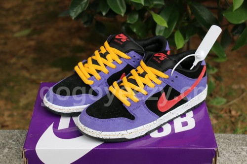 Authentic  Nike SB Dunk Low “ACG”