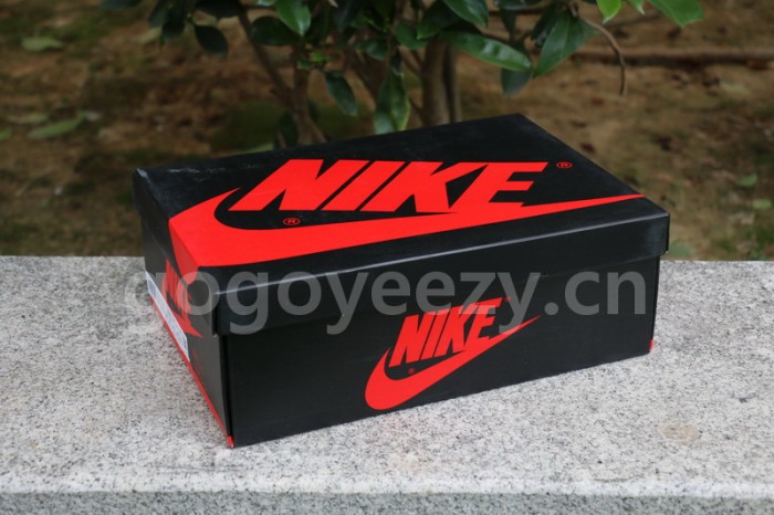 Authentic Travis Scott x Air Jordan 1