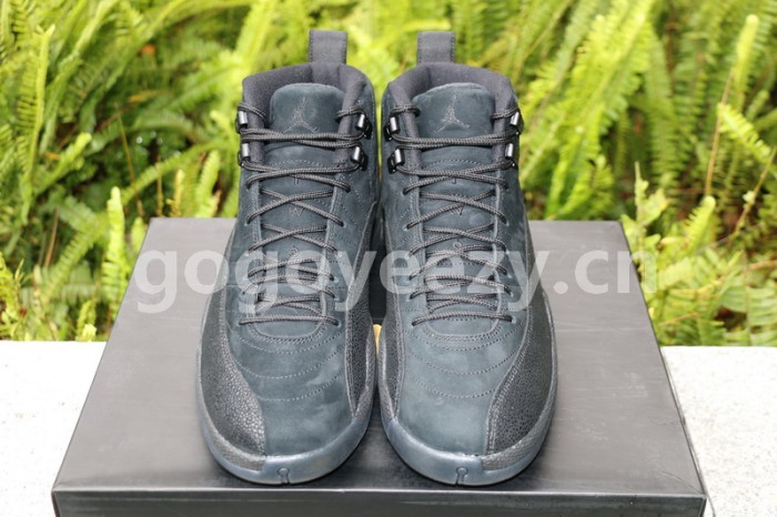 Authentic Air Jordan 12 OVO Black