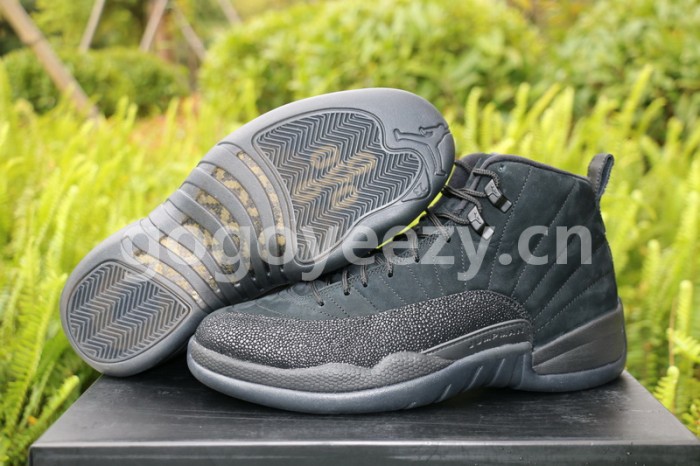 Authentic Air Jordan 12 OVO Black