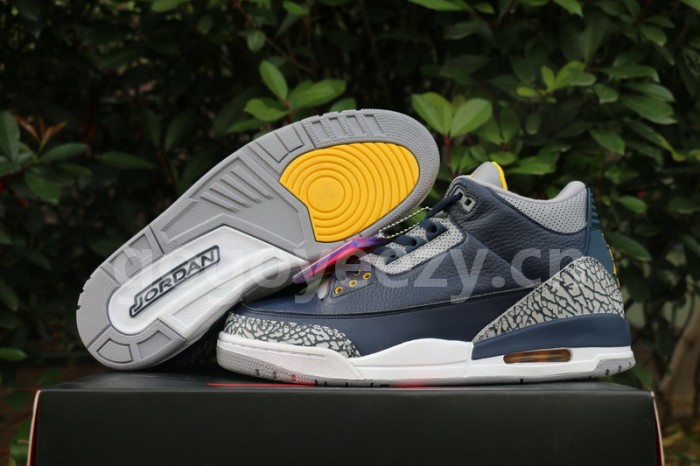 Authentic Air Jordan 3 Michigan