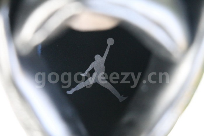 Authentic Air Jordan 12