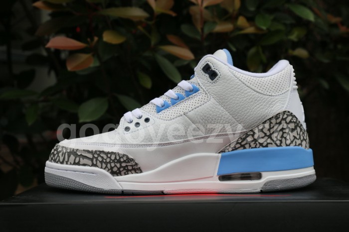 Authentic Air Jordan 3 UNC PE