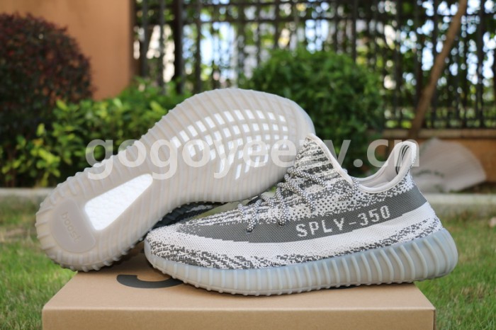 Authentic AD Yeezy 350 V2 Turtle Dove