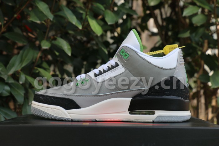 Authentic Air Jordan 3“Chlorophyll”
