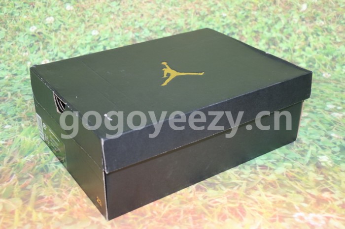 Authentic Air Jordan 8 “Take Flight”