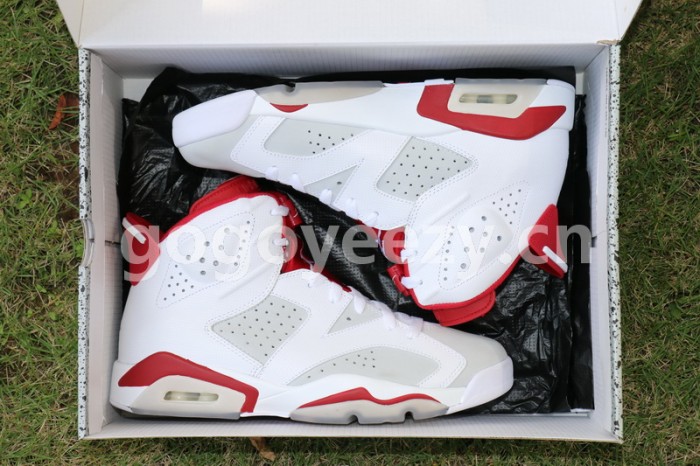 Authentic Air Jordan 6 Alternate