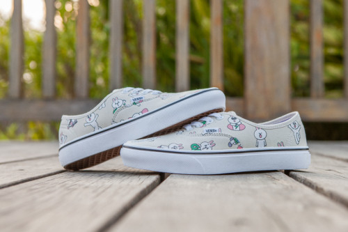 Vans Era Low Top Shoes-304
