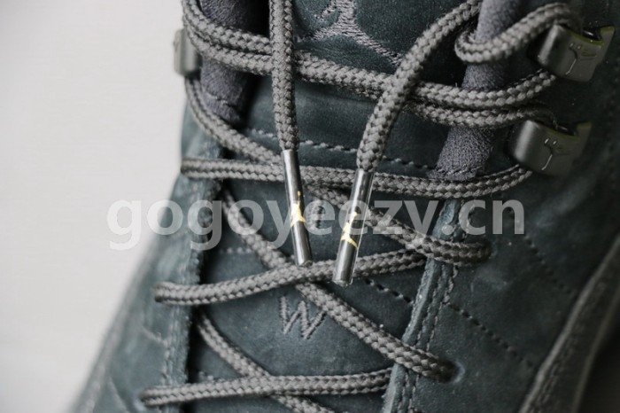 Authentic Air Jordan 12 OVO Black