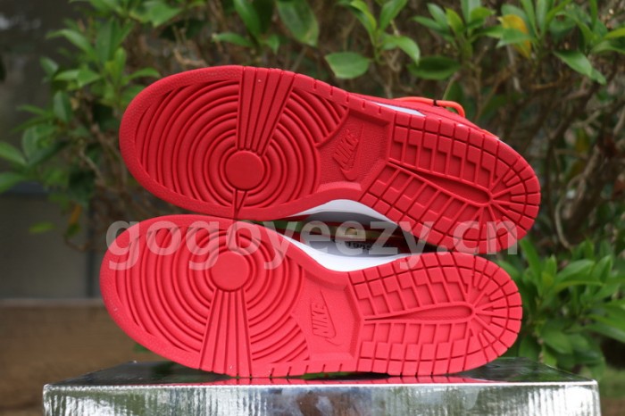 Authentic OFF-WHITE x Nike Dunk Low Red Grey