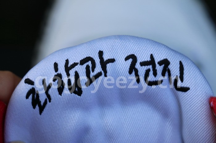 Authentic Air Jordan 3 Retro Seoul