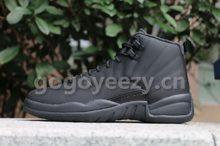 Authentic Air Jordan 12 WNTR